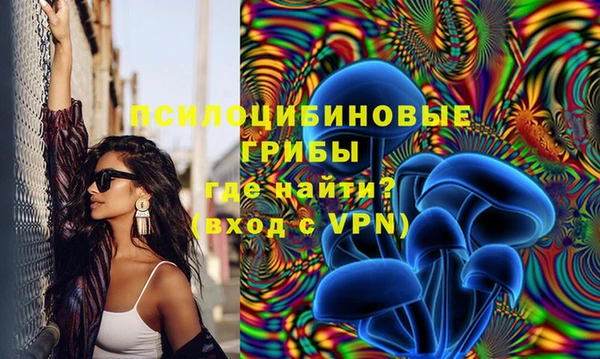 мяу мяу кристалл Богданович